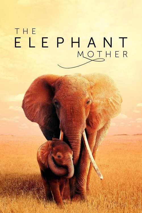 The Elephant Mother