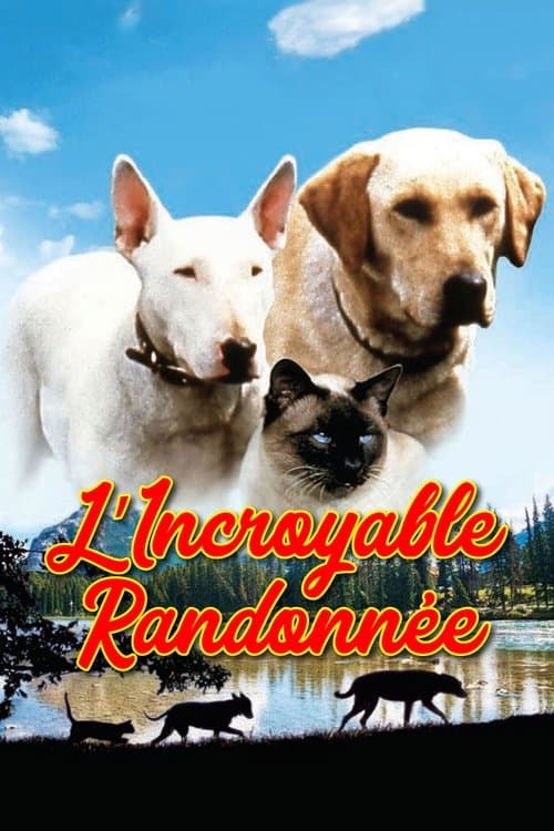 L'incroyable randonnée